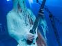 20.12.2013 - MetalEmpire - Darkened Nocturn Slaughtercult