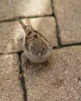 2010_09_04-16_44_19